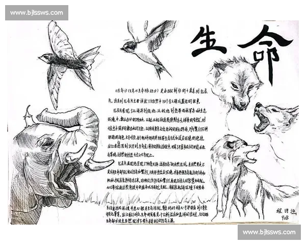 破茧成蝶：在磕碰中淬炼生命的韧性